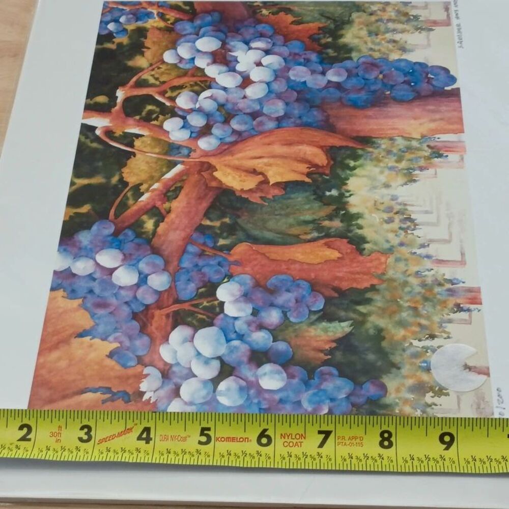 NEW Sue Archer Between Vine & Wine Fine Art Giclee Reproduction Watercolor Print - Picture 11 of 12